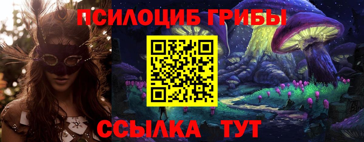 Старая Купавна  Галлюциногенные грибы ЛСД  закладки  Псилоцибиновые грибы Psilocybe  Вход с VPN 